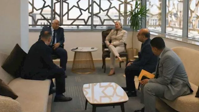 وزيرة البيئة تبحث الاستفادة من جريد النخيل بالوادي