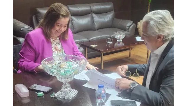 مي عبد الحميد