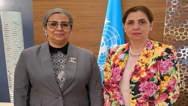 رئيسة القومي للمرأة تلتقى الأمينة التنفيذية للجنة 