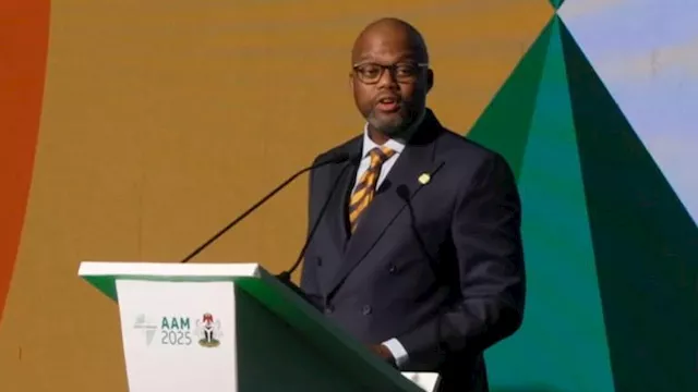 وامكيلي ميني