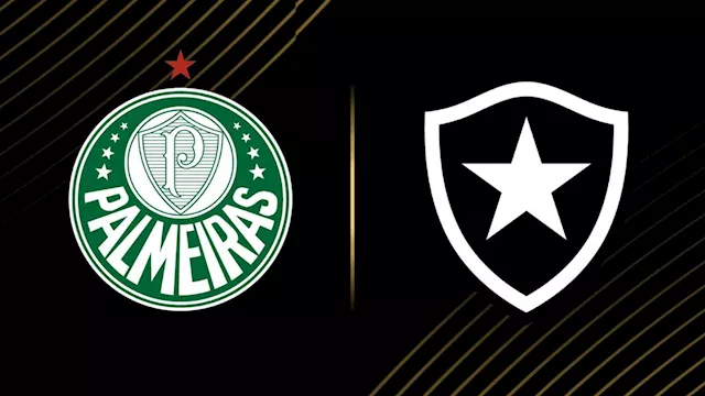 بوتافوجو ضد بالميراس