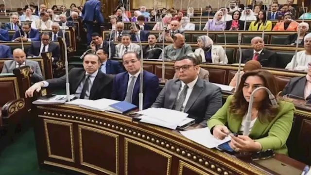 نشأت الديهي ينتقد الملابس الملونة لوزيرة التنمية ب