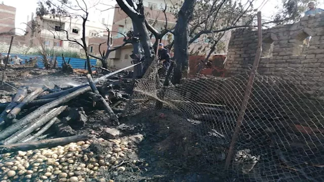 حريق هائل يلتهم مزرعة مواشي