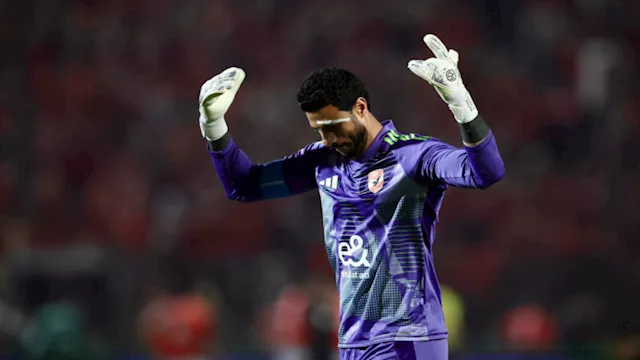 محمد الشناوي