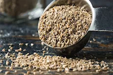 بذور الكرفس على الريق.. سر طبيعي لمحاربة الانتفاخ صيفًا