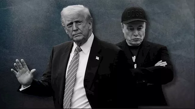 ترامب وايلون ماسك