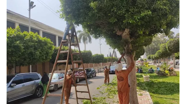 استمرار أعمال جهاز التطوير لتحسين المشهد الحضري