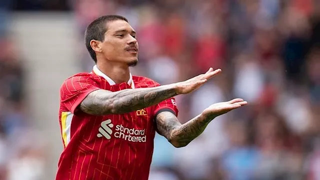 نونيز يحتفل على طريقة جوتا (1)