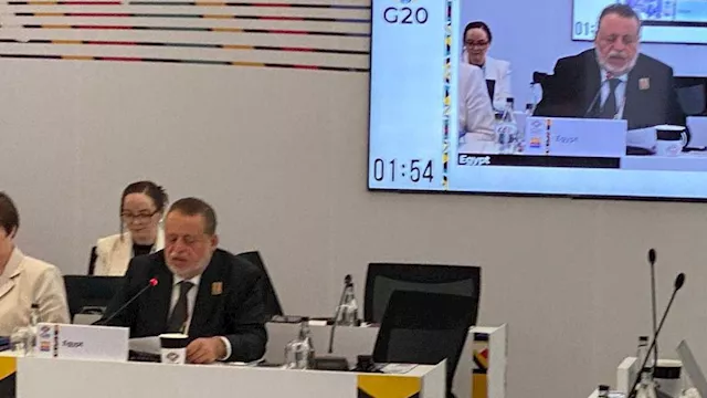 حسن عبد الله محافظ البنك المركزي المصري