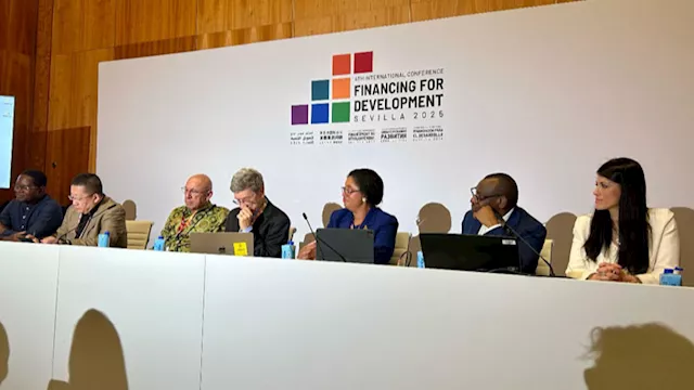 الدكتورة رانيا المشاط