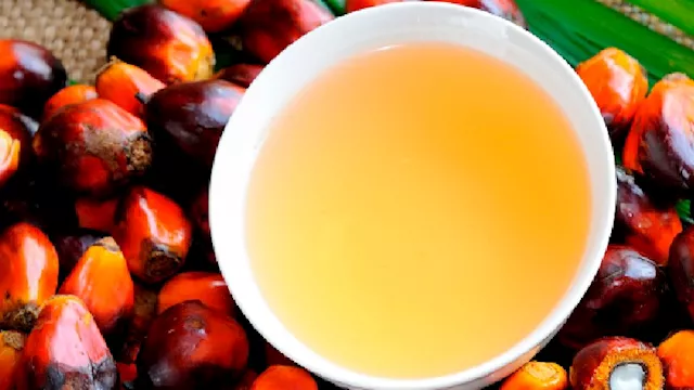 هل يهدد زيت النخيل صحة القلب؟