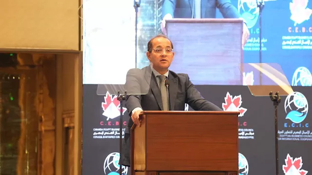 أحمد كجوك وزير المالية