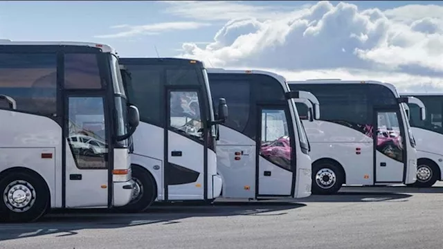 السياحة تعلن آليات جديدة لتجديد أسطول النقل السياح