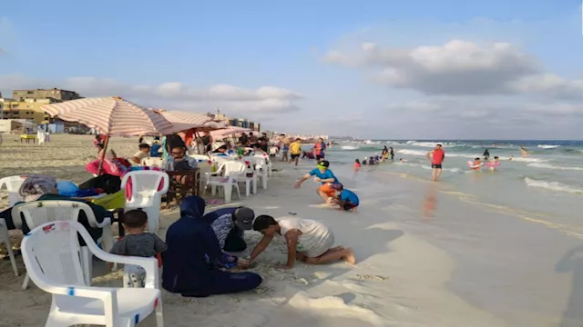 شواطئ الإسكندرية