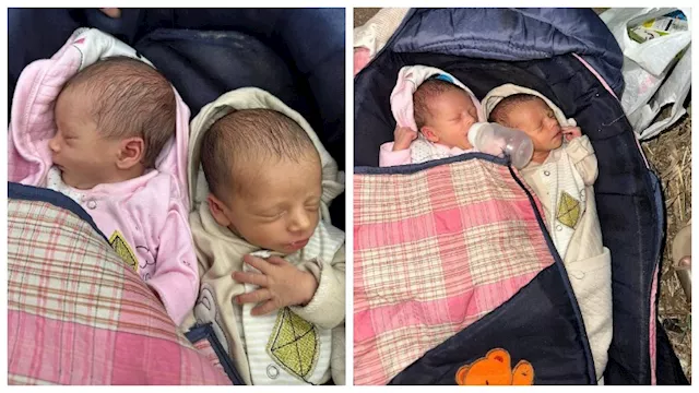 توأم رضيع أُلقي بهما في ساعة متأخرة على طريق زراعي
