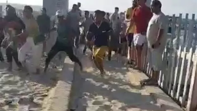 مصايف الإسكندرية تكشف تفاصيل مشاجرة شاطئ النخيل