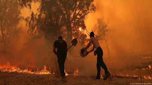 حرائق غابات مدمرة 