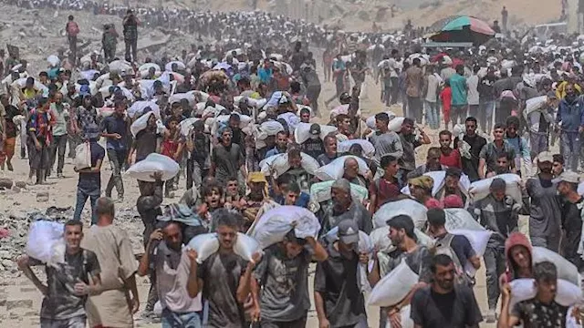 المجاعة في غزة   أرشيفية