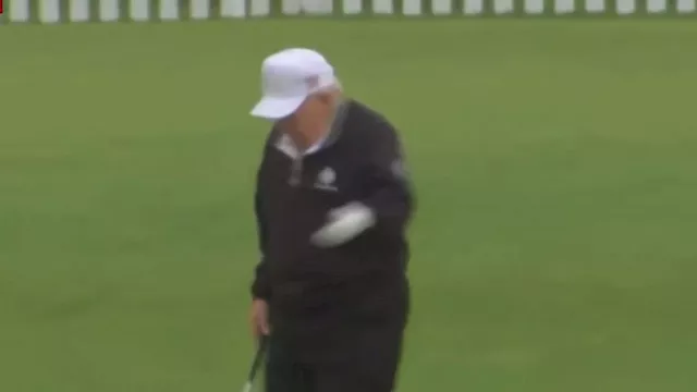 الذباب يلتف حول ترامب