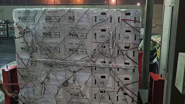 شحنة تقاوي بطاطس