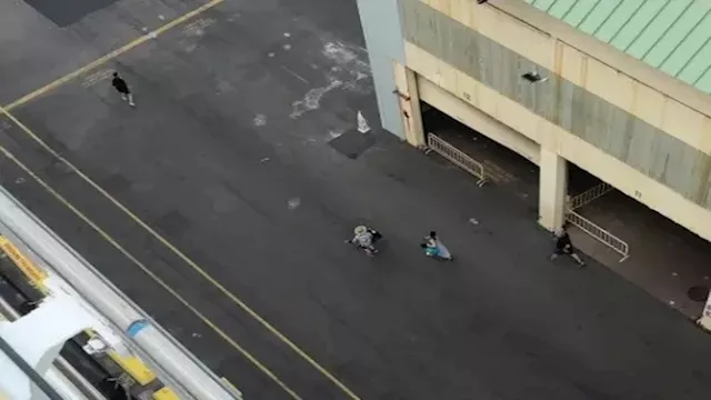 سباق مع الموت في هاواي الأمريكية