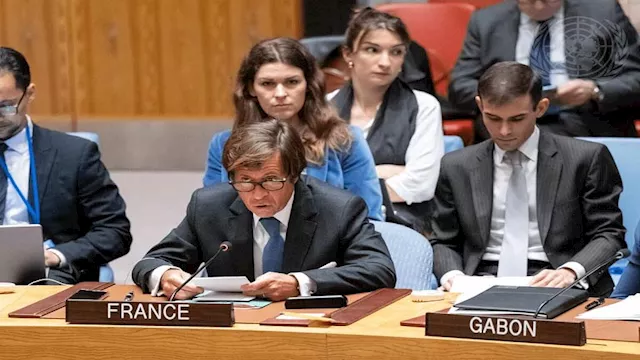 نائب المندوب الفرنسي جاي دارمادهيكاري