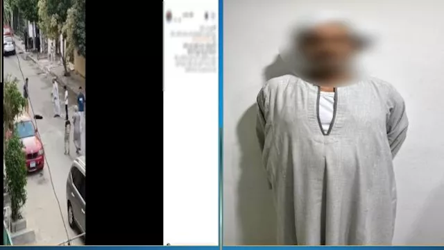 حارس عقار يضرب كلبًا حتى نفوقه