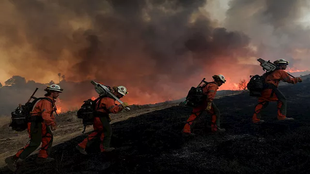 حرائق غابات