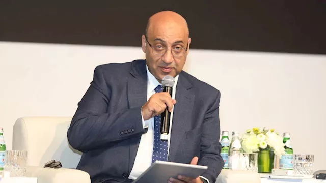 الدكتور أيمن بهاء البصال، نائب وزير التربية والتعل