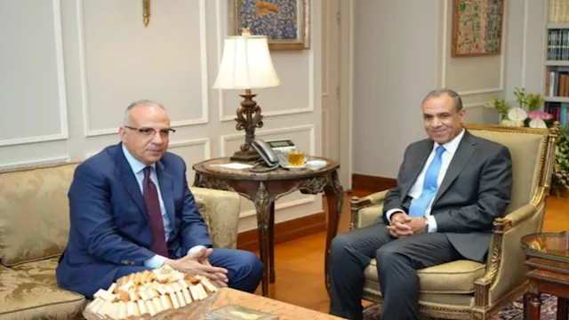 الخارجية والري تبحثان تعزيز التعاون مع دول حوض الن