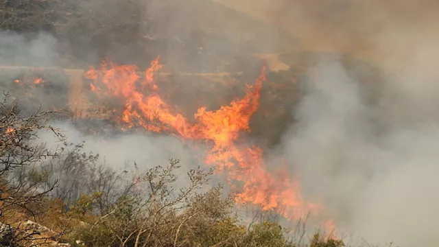 تجدد الحرائق في غابات اللاذقية شمال غربي سوريا ونز