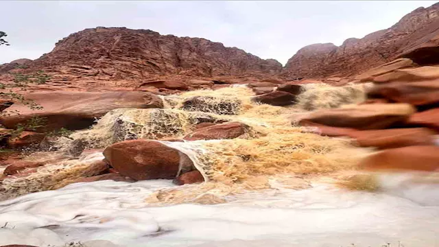 أغرب 5 عادات للضيافة في العالم.. بيقدموا للضيف ميا