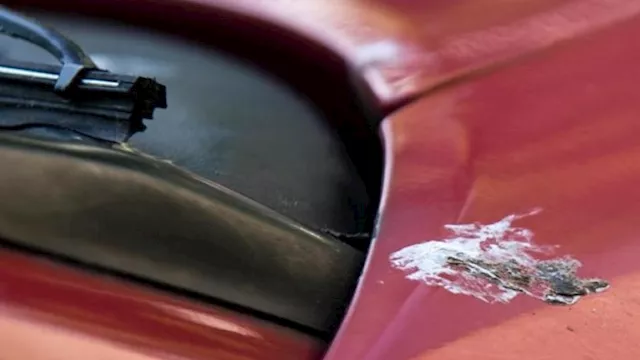 كيف تُزيل فضلات الطيور عن طلاء السيارة؟