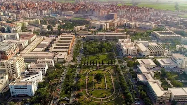 المنصورة ضمن قائمة الجامعات العالمية المرموقة