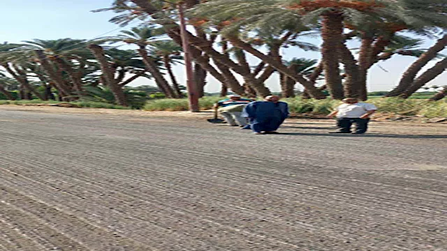 طريق ''مصر- أسوان'' الزراعي