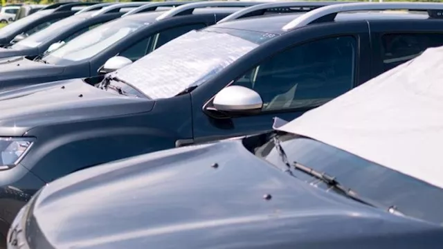 حرارة الصيف قد تشكل خطرا على ركاب السيارة