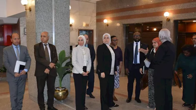 رشا عبد العال رئيس مصلحة الضرائب المصرية