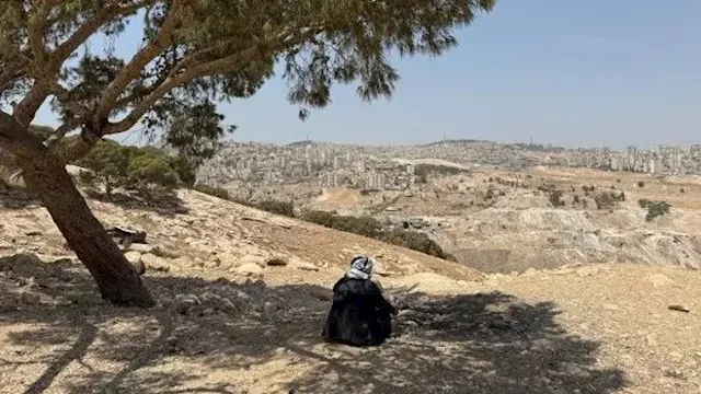 حلم الفلسطينيين 