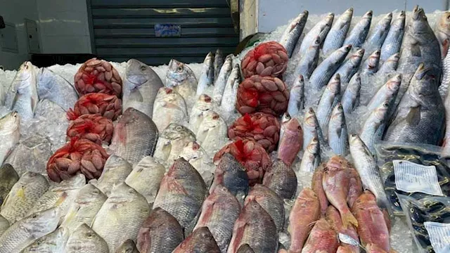 أسعار الأسماك                                     