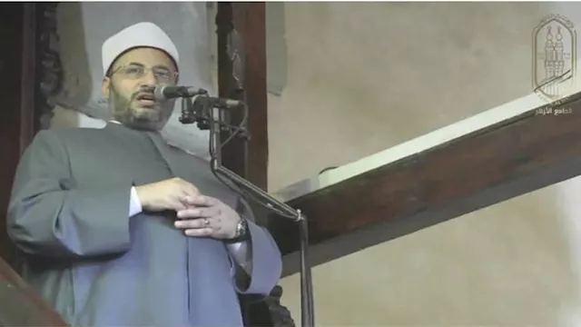 الدكتور محمود الهواري