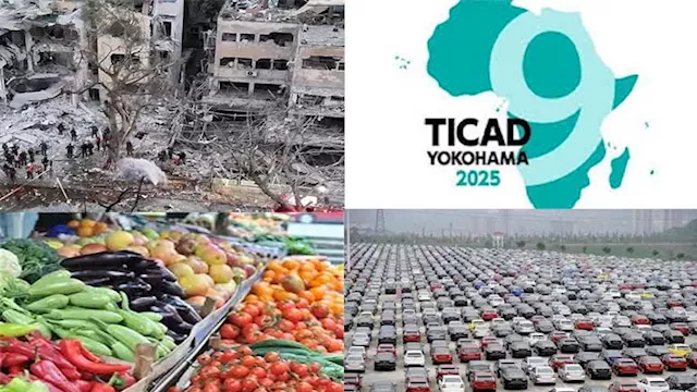 نشرة التوك شو