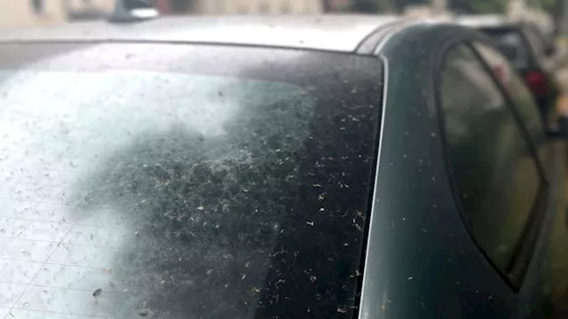 هكذا تتخلص من الأوساخ العنيدة بزجاج السيارة