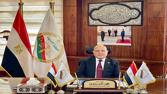 المستشار محمد الشناوي