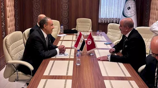 وزيرا خارجية مصر وتونس
