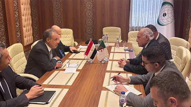 اجتماع وزيري خارجية الجزائر ومصر
