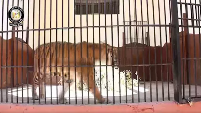 حديقة الحيوان