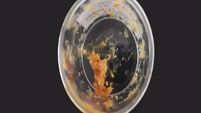 اكتشاف عسل عمره 2500 عام