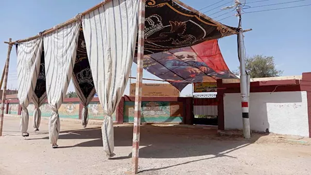 الاستعدادات لانتخابات الشيوخ