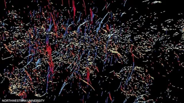 مجرات أم أسرار مجهولة.. اكتشاف أجسام غامضة في الكو