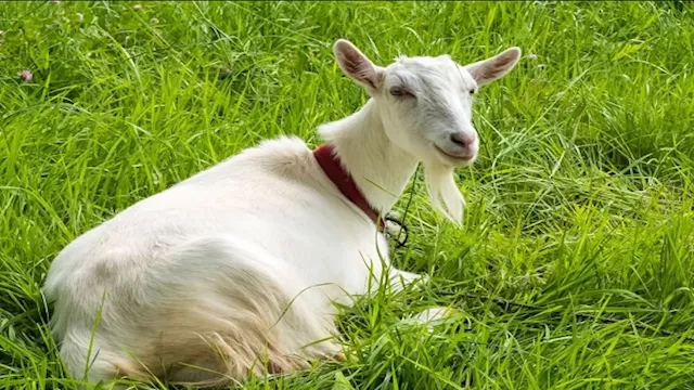 صورة تعبيرية